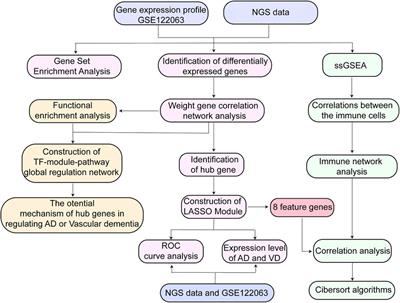 Transcriptome analysis reveals potential marker genes for diagnosis of Alzheimer’s disease and vascular dementia